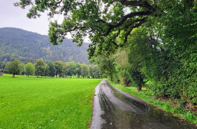 Tegernsee et Schliersee : 264 Photos - Randonnée