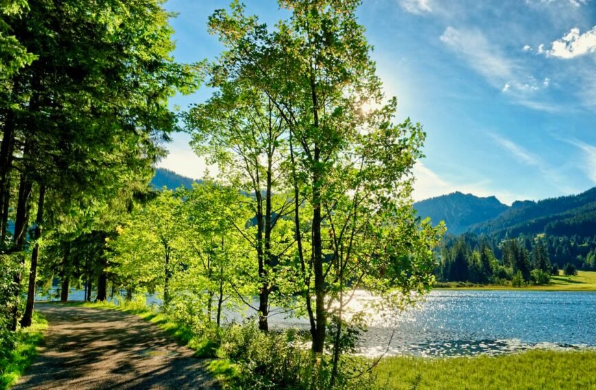 Spitzingsee Rundweg (leicht, 3km, 50hm)